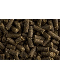 Ungulat de St HIppolyt es un suplemento para mejorar los cascos del caballo.