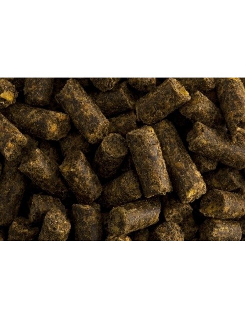 Knoblizem de St HIppolyt para caballos de pasto que sufren con los insectos.