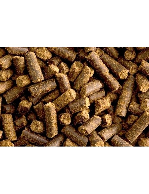 Equilizer de St HIppolyt mejora la concentración y el equilibrio del caballo sin efecto doping. Idóneo para caballos de deporte.