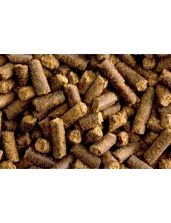 Equilizer de St HIppolyt mejora la concentración y el equilibrio del caballo sin efecto doping. Idóneo para caballos de deporte.