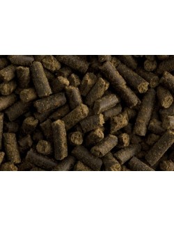 Makor de St. Hippolyt. Suplemento de magnesio y vitamina e para reducir el estress del caballo