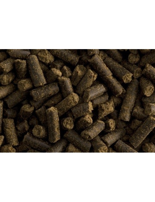 Hippomun de St. Hippolyt activa el sistema inmunológico y las defensas en periodos de destete, estres y cubricion