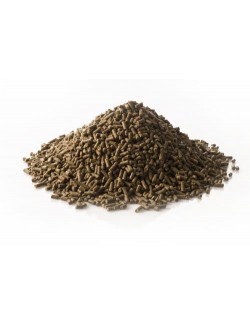 Gemuse Krauter de St Hippolyt son dados minerales para yeguas de vientre y potros