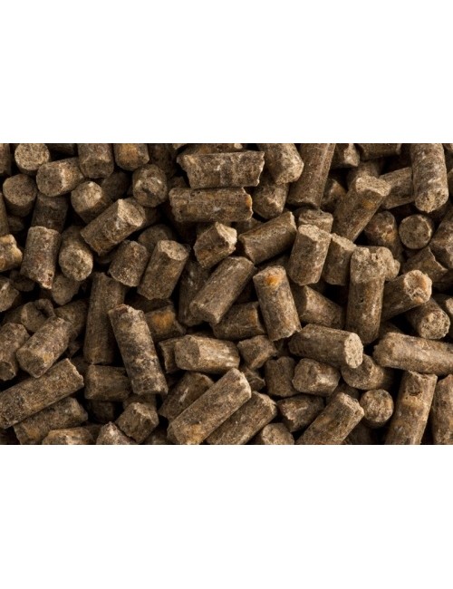 Gemuse Krauter de St Hippolyt son dados minerales para yeguas de vientre y potros