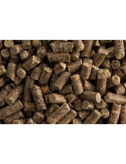 Gemuse Krauter de St Hippolyt son dados minerales para yeguas de vientre y potros