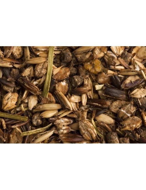 Inter Sport RACING de St Hippolyt pienso de alto rendimiento para caballo de carreras