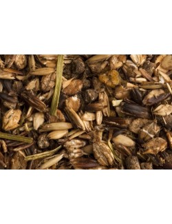 Inter Sport RACING de St Hippolyt pienso de alto rendimiento para caballo de carreras