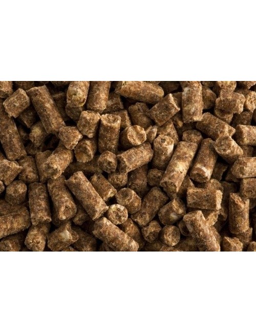 Super Condition  de St. Hippolyt suministra nutrientes específicos importantes para el metabolismo muscular del caballo