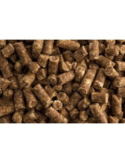 Super Condition  de St. Hippolyt suministra nutrientes específicos importantes para el metabolismo muscular del caballo