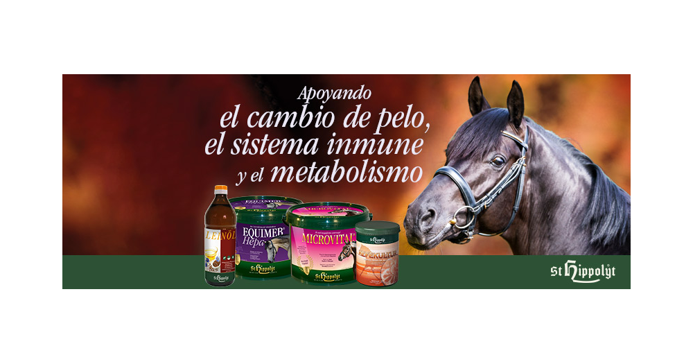 El cambio de pelo , como ayudar a tu caballo.